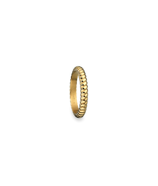 Anillo AN Jewels AR.R1NS03Y-8 Mujer — Acero Dorado · Talla 8 lifestyle